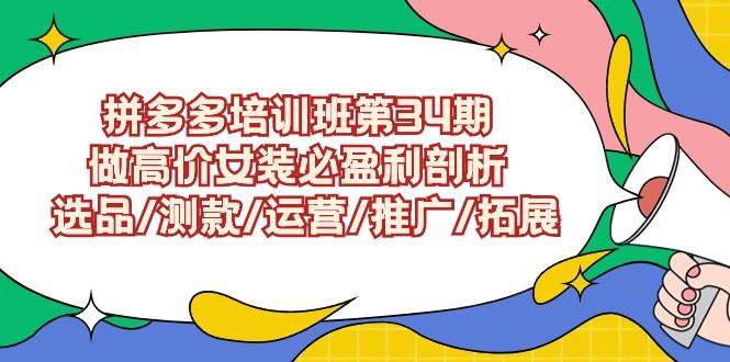 (9333期)拼多多培训班第34期：做高价女装必盈利剖析  选品/测款/运营/推广/拓展-Xiaobei云