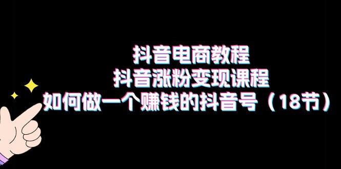 抖音电商教程：抖音涨粉变现课程：如何做一个赚钱的抖音号(18节-Xiaobei云