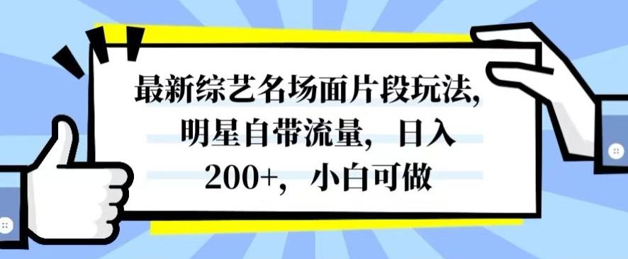 最新综艺名场面片段玩法，明星自带流量，日入200+，小白可做【揭秘】-Xiaobei云