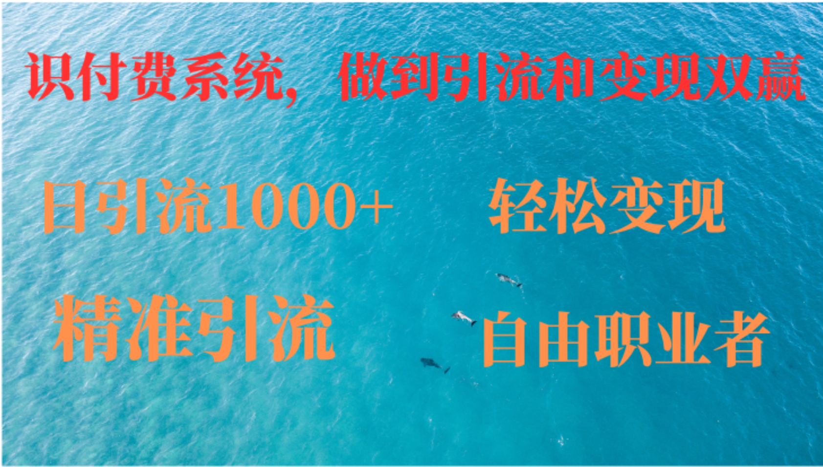 如何搭建自己的知识付费系统，做到引流和变现双赢-Xiaobei云