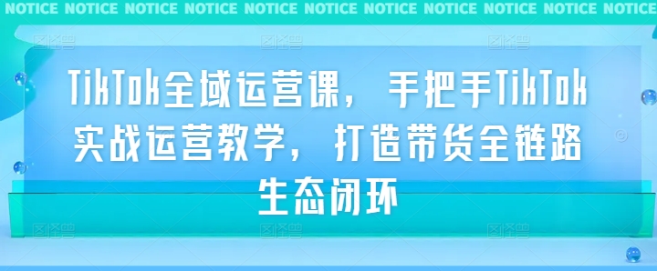 TikTok全域运营课，手把手TikTok实战运营教学，打造带货全链路生态闭环-Xiaobei云