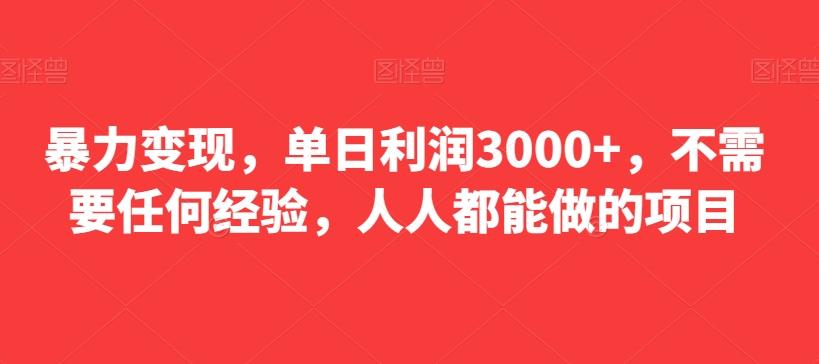 暴力变现，单日利润3000+，不需要任何经验，人人都能做的项目-Xiaobei云