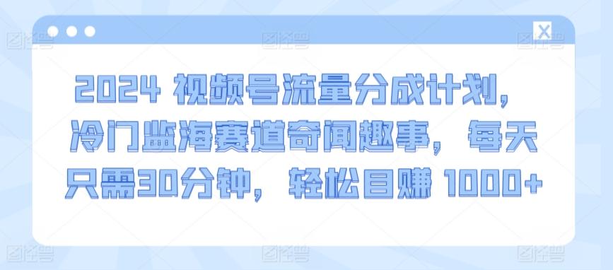 2024视频号流量分成计划，冷门监海赛道奇闻趣事，每天只需30分钟，轻松目赚 1000+【揭秘】-Xiaobei云