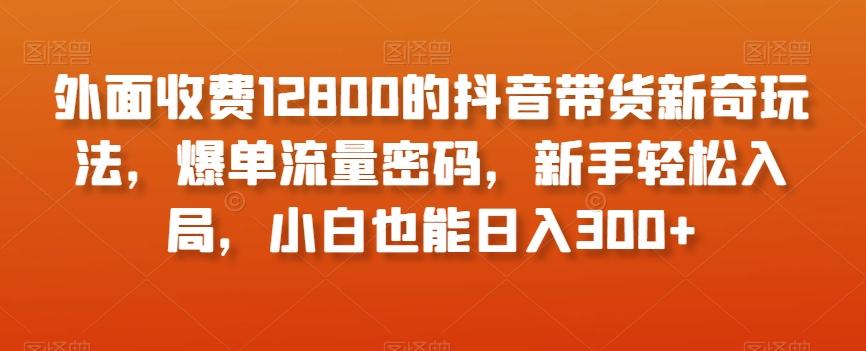 外面收费12800的抖音带货新奇玩法，爆单流量密码，新手轻松入局，小白也能日入300+【揭秘】-Xiaobei云
