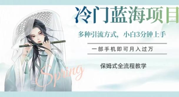 冷门蓝海项目，操作简单，小白3分钟上手，多种引流方式，保姆式全流程教学【揭秘】-Xiaobei云