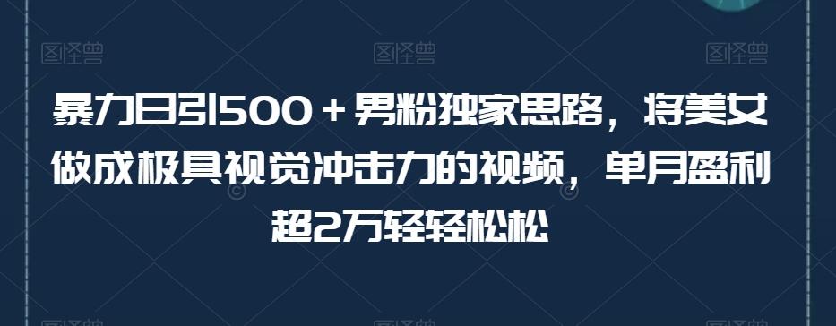 暴力日引500＋男粉独家思路，将美女做成极具视觉冲击力的视频，单月盈利超2万轻轻松松-Xiaobei云