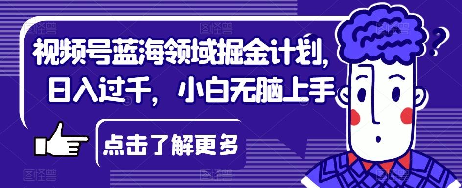 视频号蓝海领域掘金计划，日入过千，小白无脑上手【揭秘】-Xiaobei云