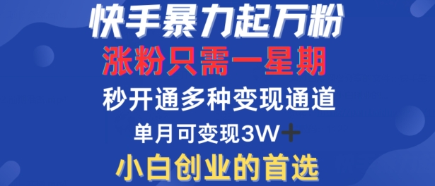 快手暴力起万粉，涨粉只需一星期，多种变现模式，直接秒开万合，单月变现过W【揭秘】-Xiaobei云