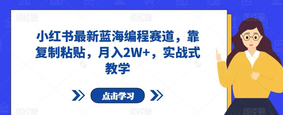小红书最新蓝海编程赛道，靠复制粘贴，月入2W+，实战式教学【揭秘】-Xiaobei云