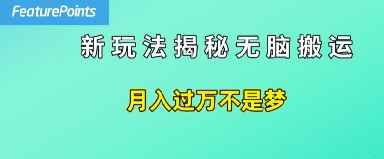 简单操作，每天50美元收入，搬运就是赚钱的秘诀【揭秘】-Xiaobei云