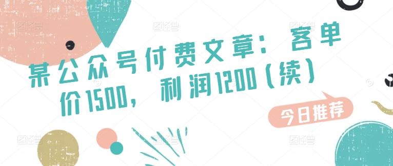 某公众号付费文章：客单价1500，利润1200(续)，市场几乎可以说是空白的-Xiaobei云