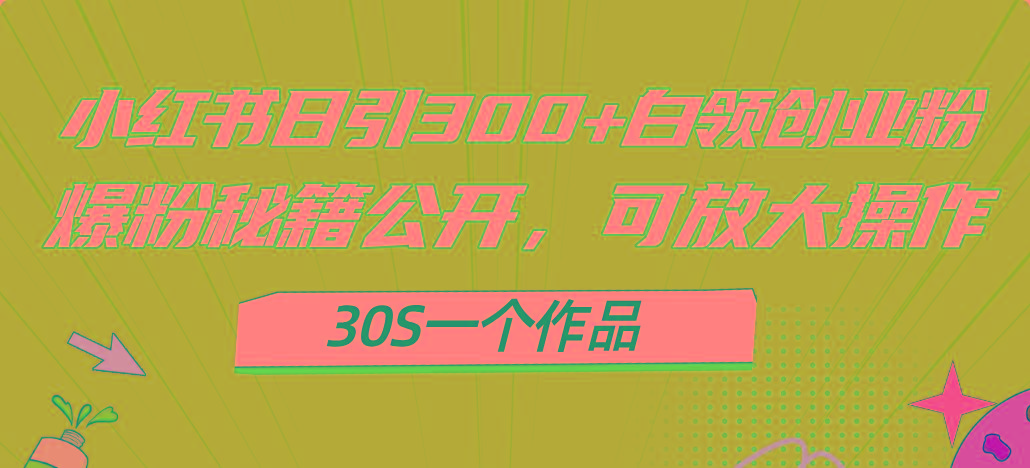 小红书日引300+高质白领创业粉，可放大操作，爆粉秘籍！30s一个作品-Xiaobei云