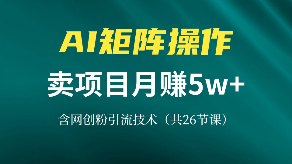 网创IP打造课，借助AI卖项目月赚5万+，含引流技术(共26节课-Xiaobei云
