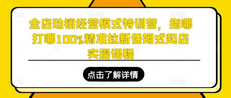 全店动销经营模式特训营，指哪打哪100%精准拉新保姆式起店实操课程-Xiaobei云