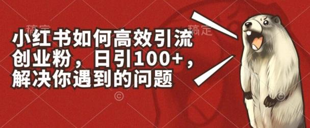 小红书如何高效引流创业粉，日引100+，解决你遇到的问题【揭秘】-Xiaobei云