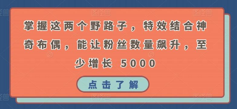 掌握这两个野路子，特效结合神奇布偶，能让粉丝数量飙升，至少增长 5000【揭秘】-Xiaobei云