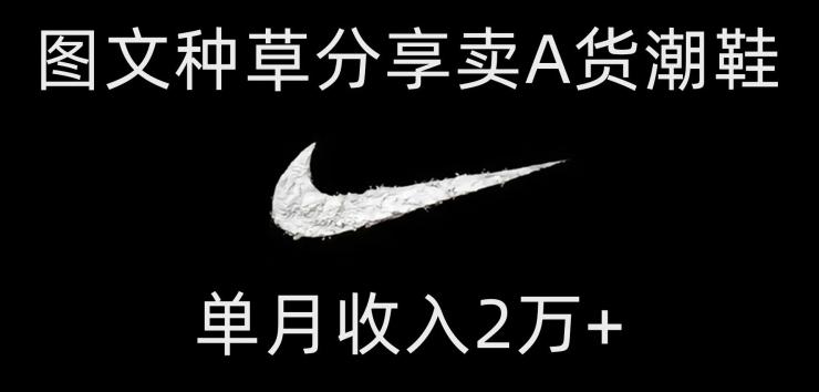 靠图文种草分享卖A货潮鞋，每天一小时，单月收入2万+【揭秘】-Xiaobei云