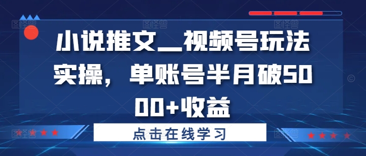 小说推文—视频号玩法实操，单账号半月破5000+收益-Xiaobei云