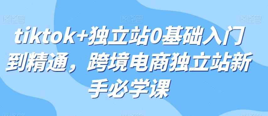 tiktok+独立站0基础入门到精通，跨境电商独立站新手必学课-Xiaobei云