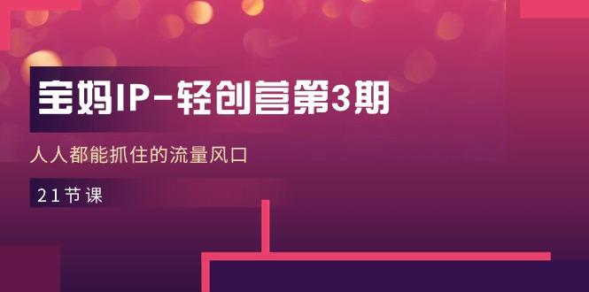 宝妈IP-轻创营第3期，人人都能抓住的流量风口(21节课-Xiaobei云