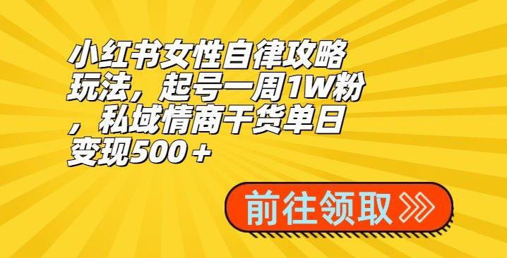 小红书女性自律攻略玩法，起号一周1W粉，私域情商干货单日变现500＋-Xiaobei云