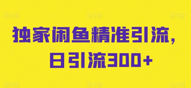 独家闲鱼精准引流，日引流300+【揭秘】-Xiaobei云