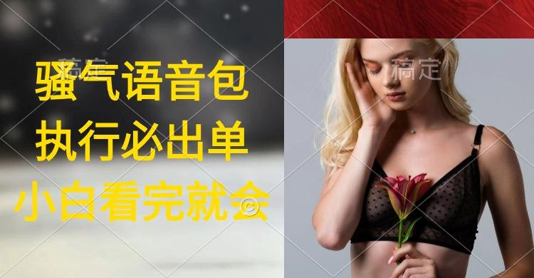 (9589期)执行就出单，日入2000+，超火骚气语音包，小白看完课程就能马上实操-Xiaobei云
