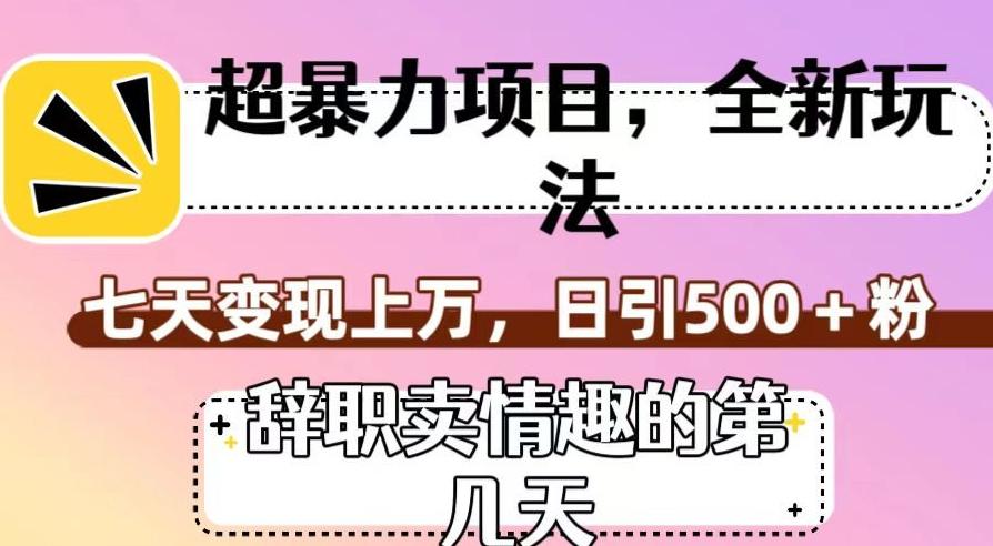 超暴利项目，全新玩法（辞职卖情趣的第几天），七天变现上万，日引500+粉【揭秘】-Xiaobei云