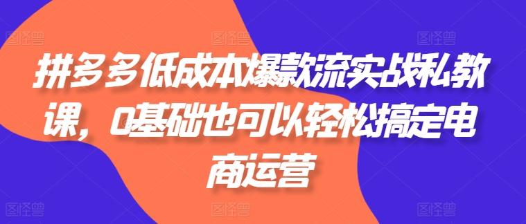 拼多多低成本爆款流实战私教课，0基础也可以轻松搞定电商运营-Xiaobei云