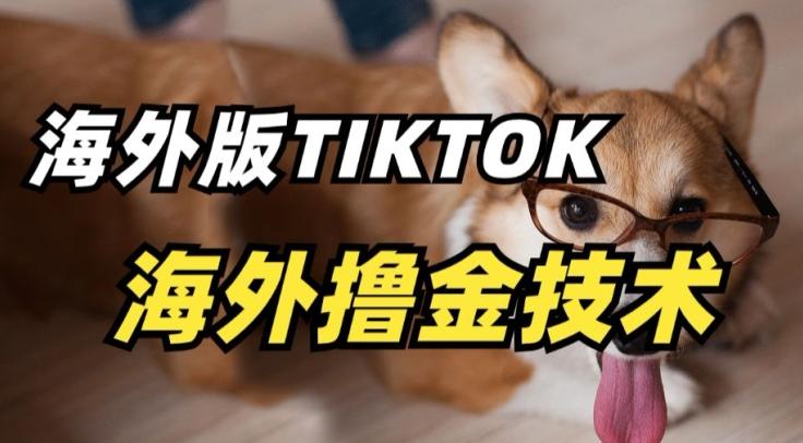 抖音海外版tiktok撸金技术，这个风口行业，赚钱真的不难【揭秘】-Xiaobei云