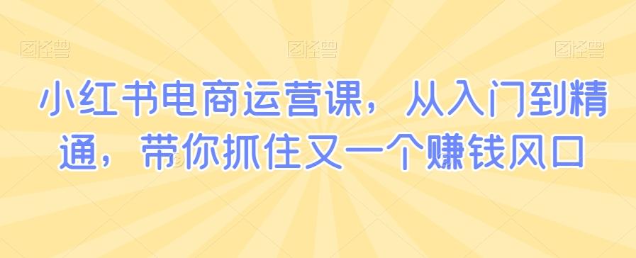 小红书电商运营课，从入门到精通，带你抓住又一个赚钱风口-Xiaobei云