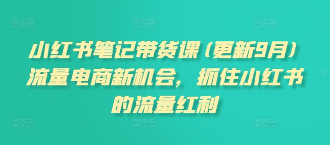小红书笔记带货课(更新9月)流量电商新机会，抓住小红书的流量红利-Xiaobei云