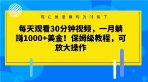 每天观看30分钟视频，一月躺赚1000+美金！保姆级教程，可放大操作【揭秘】-Xiaobei云