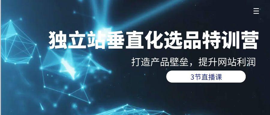 (9925期)独立站-垂直化选品训练营，打造产品壁垒，提升网站利润(3节直播课)-Xiaobei云