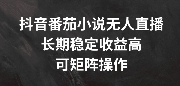 抖音番茄小说无人直播，长期稳定收益高，可矩阵操作【揭秘】-Xiaobei云