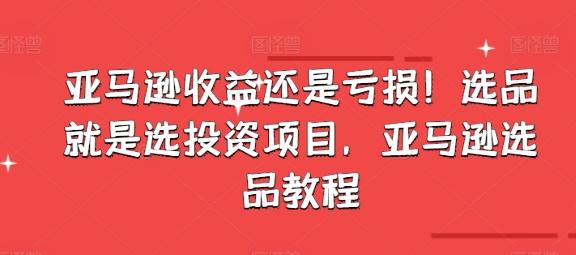 亚马逊收益还是亏损！选品就是选投资项目，亚马逊选品教程-Xiaobei云