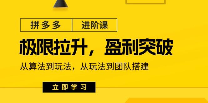 拼多多·进阶课：极限拉升/盈利突破：从算法到玩法 从玩法到团队搭建-18节-Xiaobei云