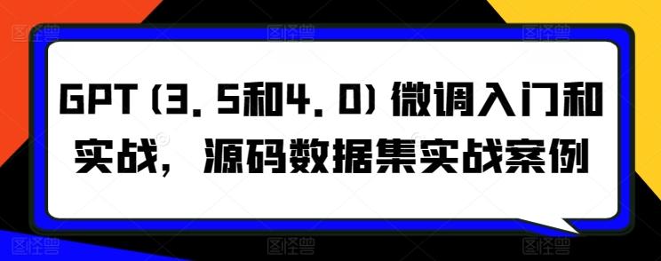 GPT(3.5和4.0)微调入门和实战，源码数据集实战案例-Xiaobei云