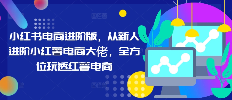小红书电商进阶版，从新人进阶小红薯电商大佬，全方位玩透红薯电商-Xiaobei云