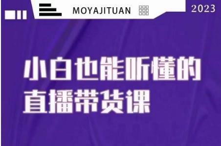 大威本威·能听懂的直播带货课，小白也能听懂，20节完整-Xiaobei云