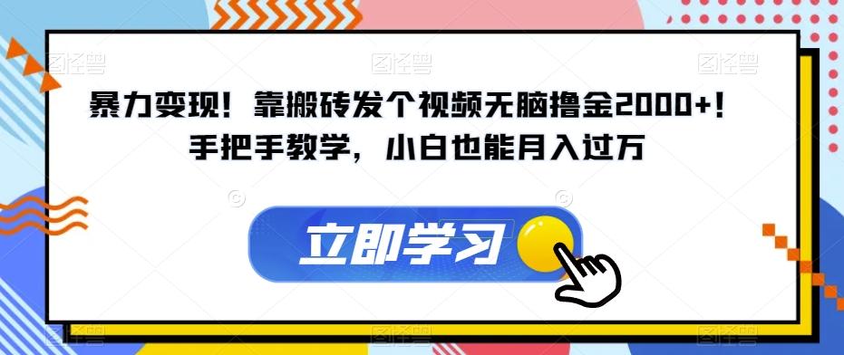 暴力变现！靠搬砖发个视频无脑撸金2000+！手把手教学，小白也能月入过万【揭秘】-Xiaobei云