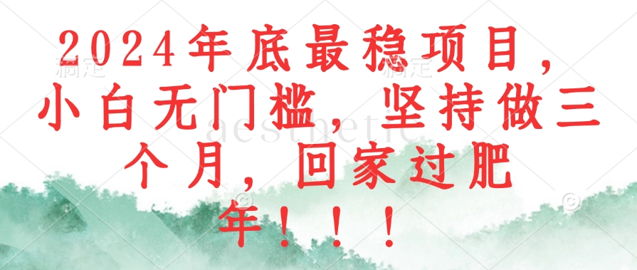 2024年底最稳项目，小白无门槛，坚持做三个月，回家过肥年！！！-Xiaobei云