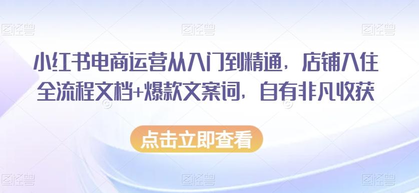 小红书电商运营从入门到精通，店铺入住全流程文档+爆款文案词，自有非凡收获-Xiaobei云