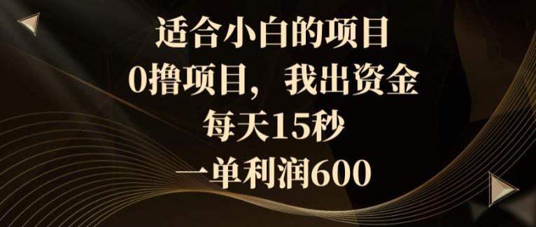 适合小白的项目，0撸项目，我出资金，每天15秒，一单利润600-Xiaobei云