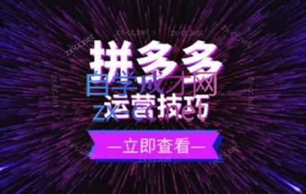 力辛电商·拼多多强付费店群玩法-Xiaobei云