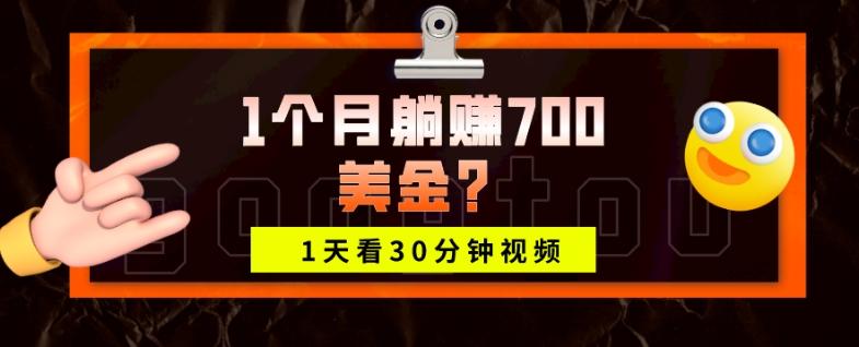 1天看30分钟视频，1个月躺赚700美金？-Xiaobei云