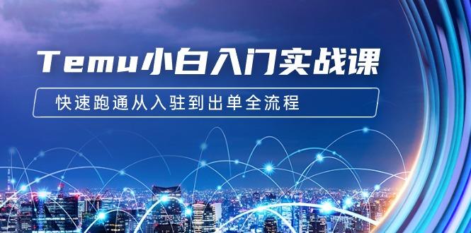 (9295期)Temu小白入门实战课：跨境拼多多电商培训 快速跑通从入驻到出单全流程-12节-Xiaobei云