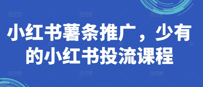 小红书薯条推广，少有的小红书投流课程-Xiaobei云