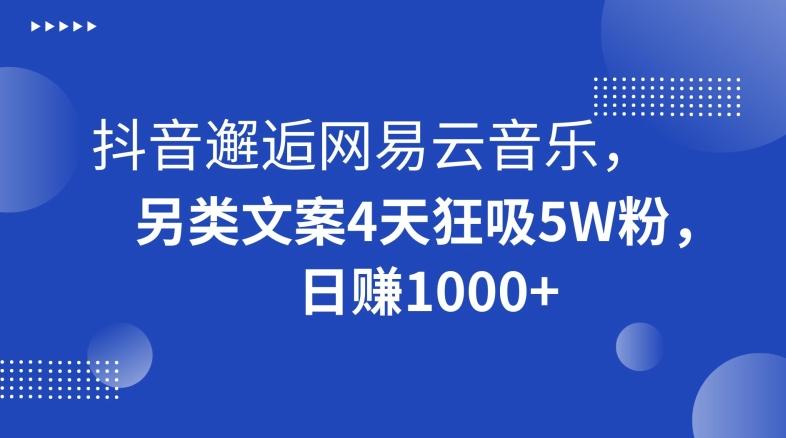 抖音邂逅网易云音乐，另类文案4天狂吸5W粉，日赚1000+【揭秘】-Xiaobei云