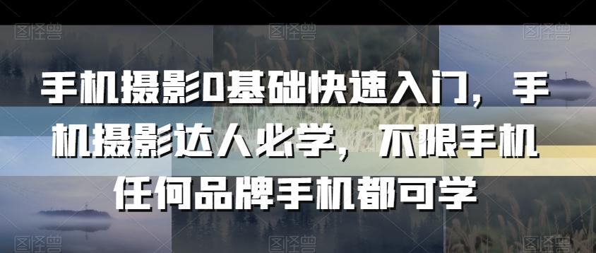 手机摄影0基础快速入门，手机摄影达人必学，不限手机任何品牌手机都可学-Xiaobei云